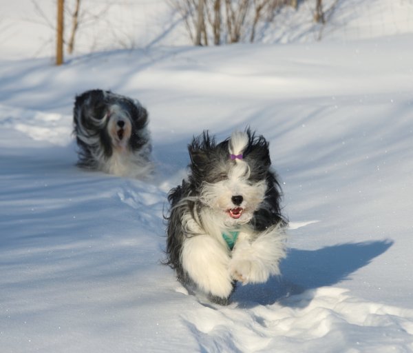 20230226140013_IMG_7