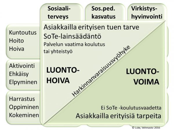 Hoiva_voima_19