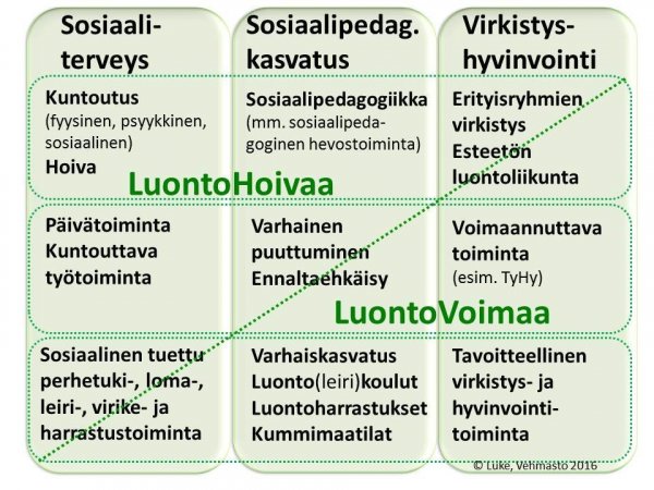 Hoiva_voima_2_19